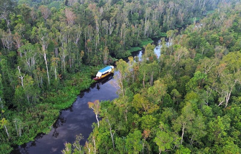 tanjung puting indonesia