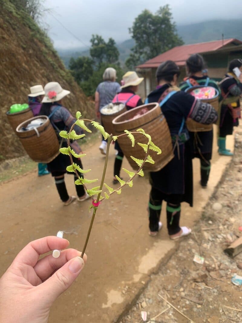regalos de lao chai