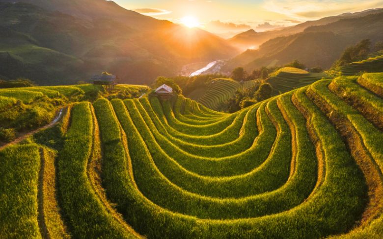arrozales en mu cang chai