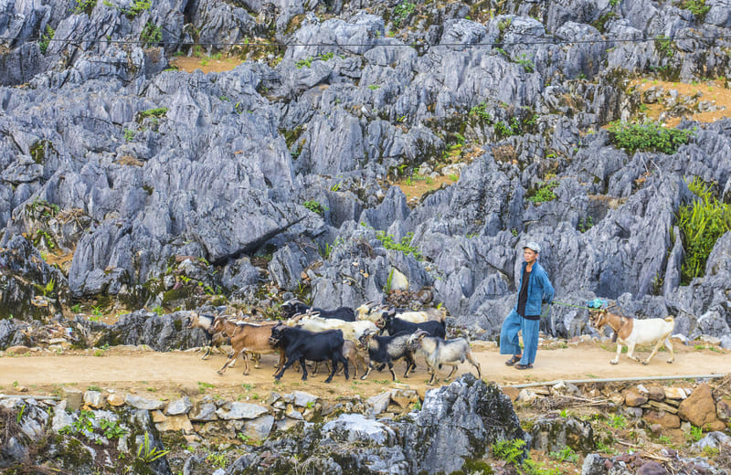 Dong Van limestone plateau