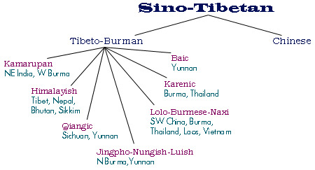 Sino-Tibetan linguistic genealogy