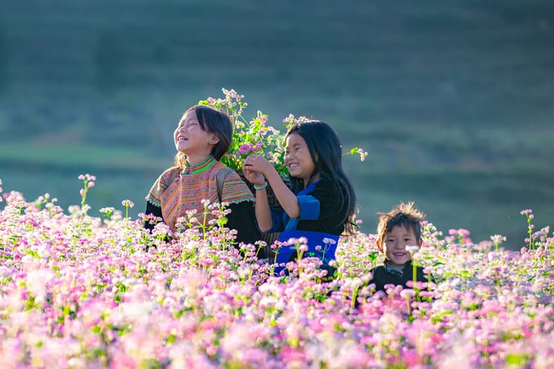 buckwheat flower