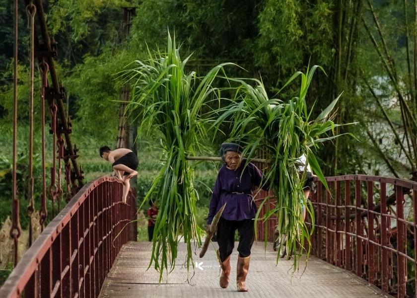Life feels like it slows down in Phong Nam
