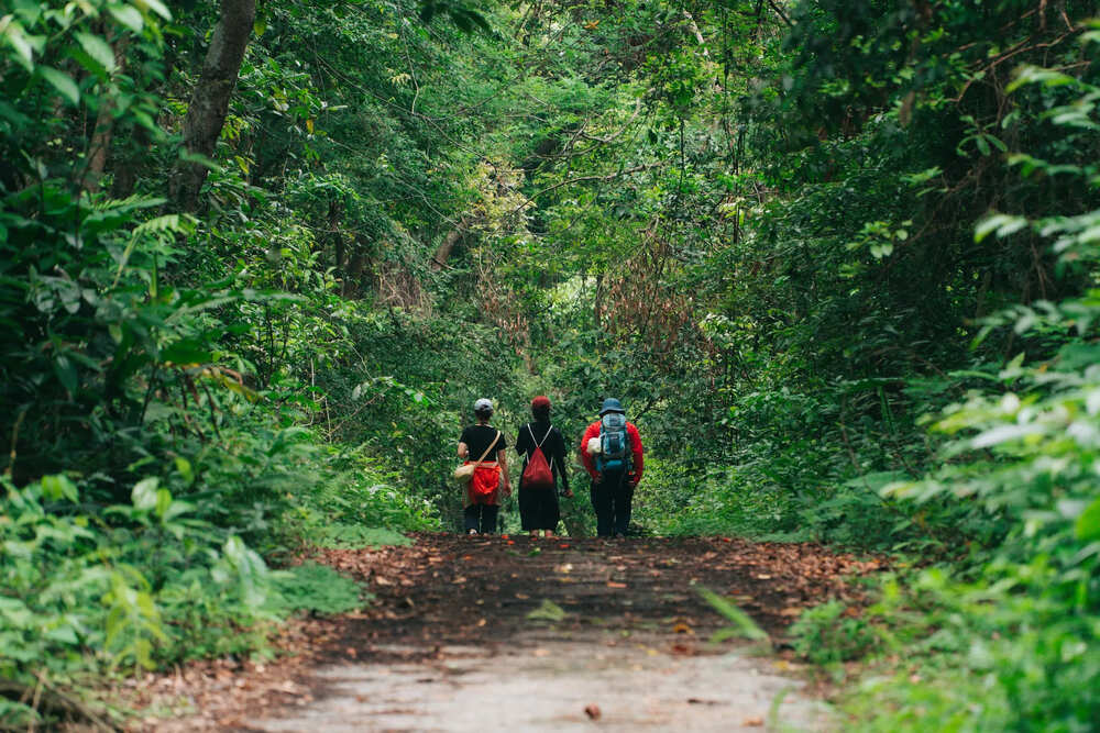 cat ba national park walking in the forest