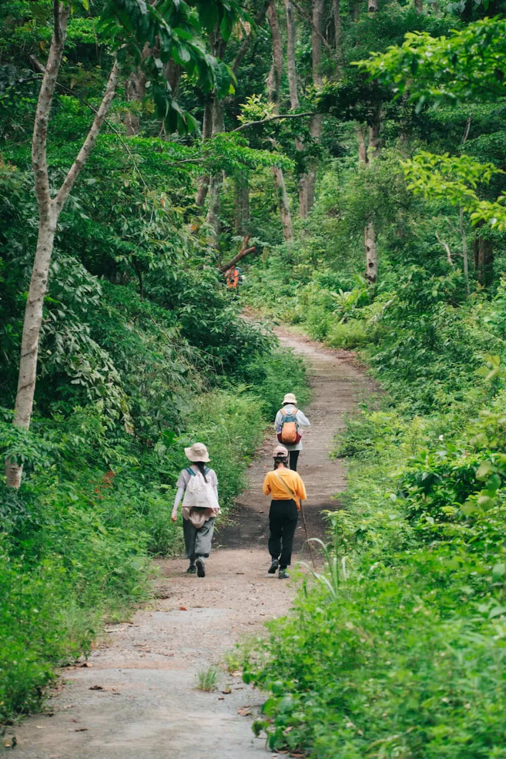 cat ba national park hiking