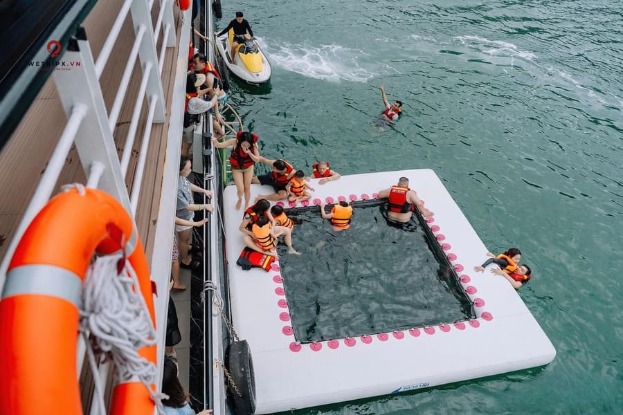 cat ba plankton viewing preparation