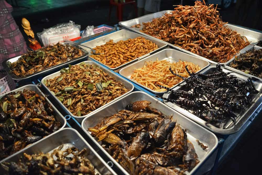 comida callejera en camboya-insectos