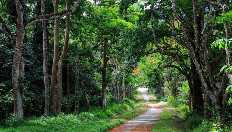 Cuc Phuong national park was Vietnam's first national park and is the largest nature reserve in the country