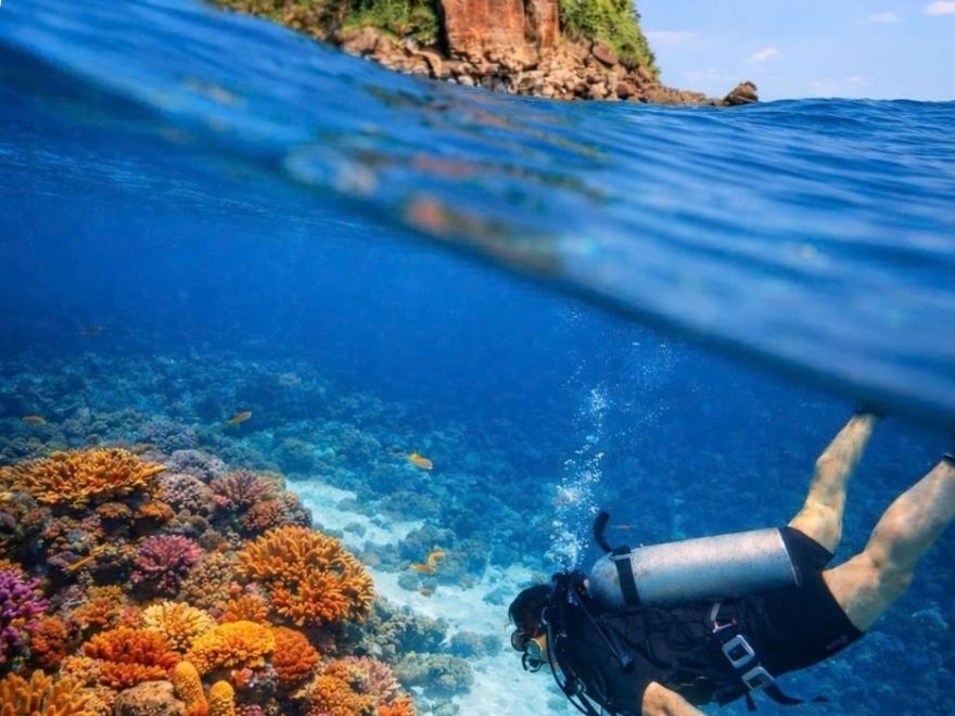 Diving in Hon Lon Island, near Whale Island, Vietnam.