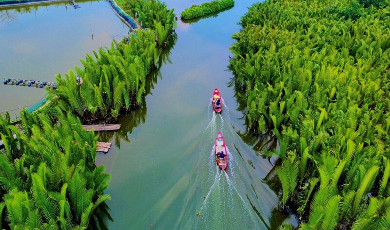 The coconut palm forest in the Mekong region