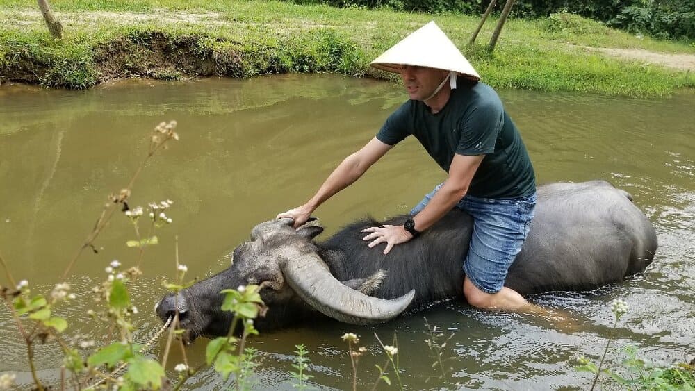 duck stop phong nha buffalo riding