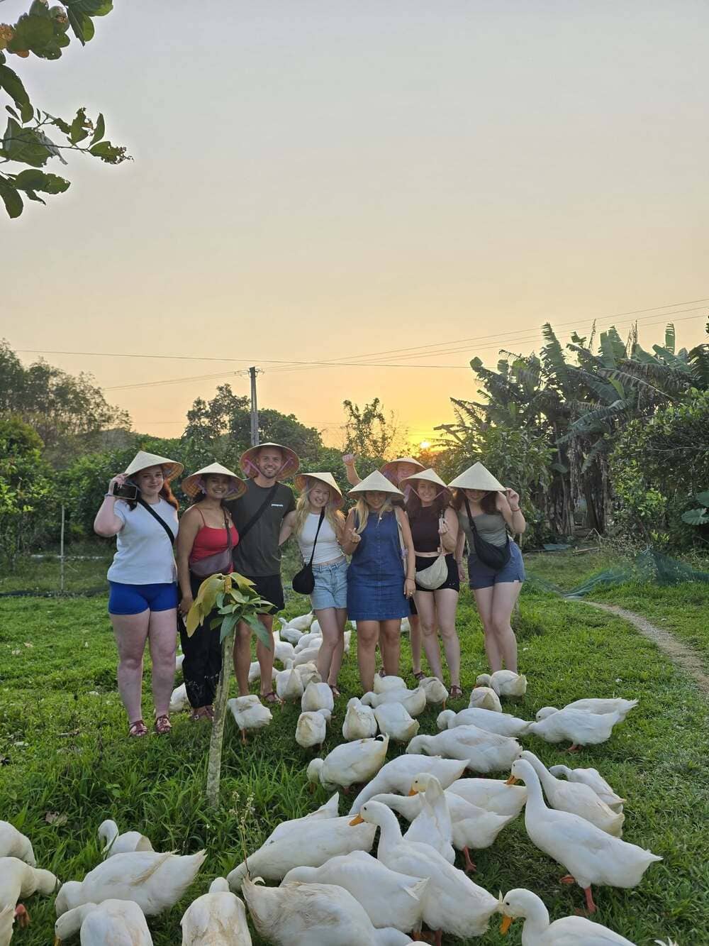duck stop phong nha family check in