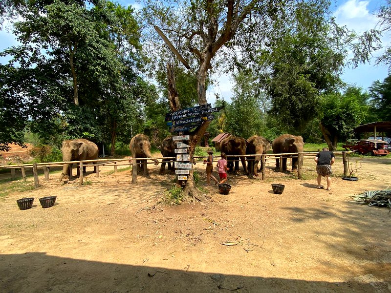 Children playing at the entrance to the elephant sanctuary