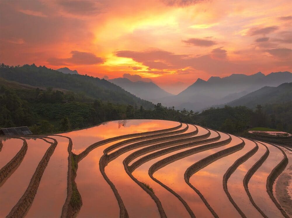 flooded rice terraces in Sapa