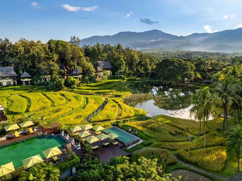 four seasons chiang mai
