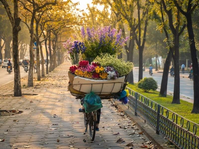 Hanoi autumn street in October with golden leaves and soft light