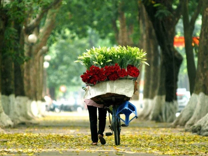 Hanoi early autumn street in September with soft light