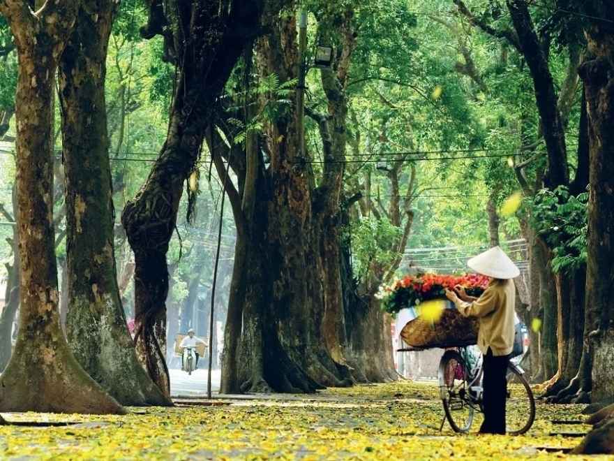 Hanoi November weather with cool morning streets