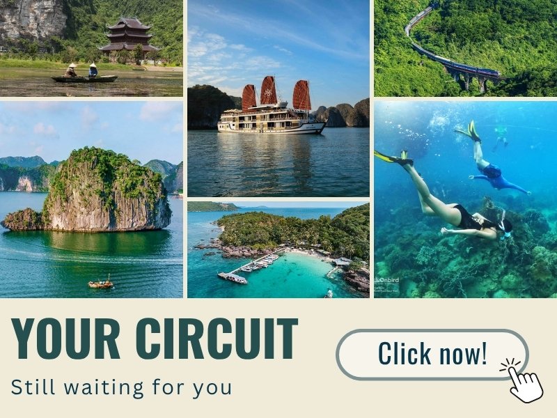 vietnam tours