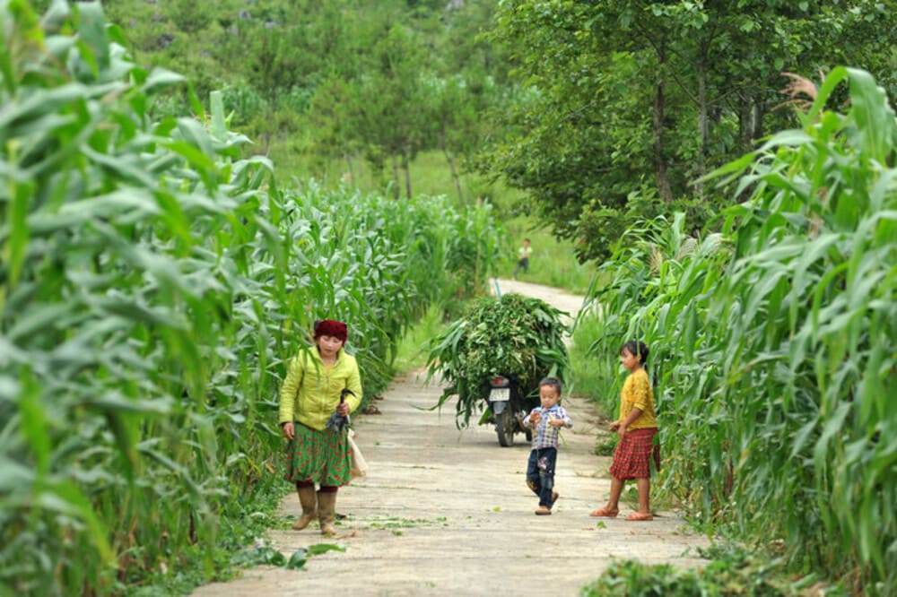 dong van ha giang children