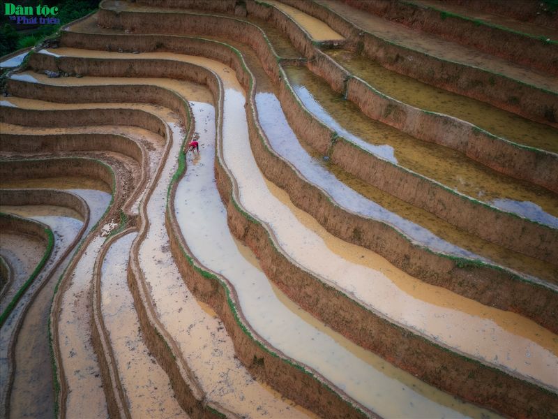 hoang su phi en vietnam en junio