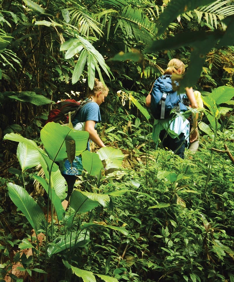 laos trekking