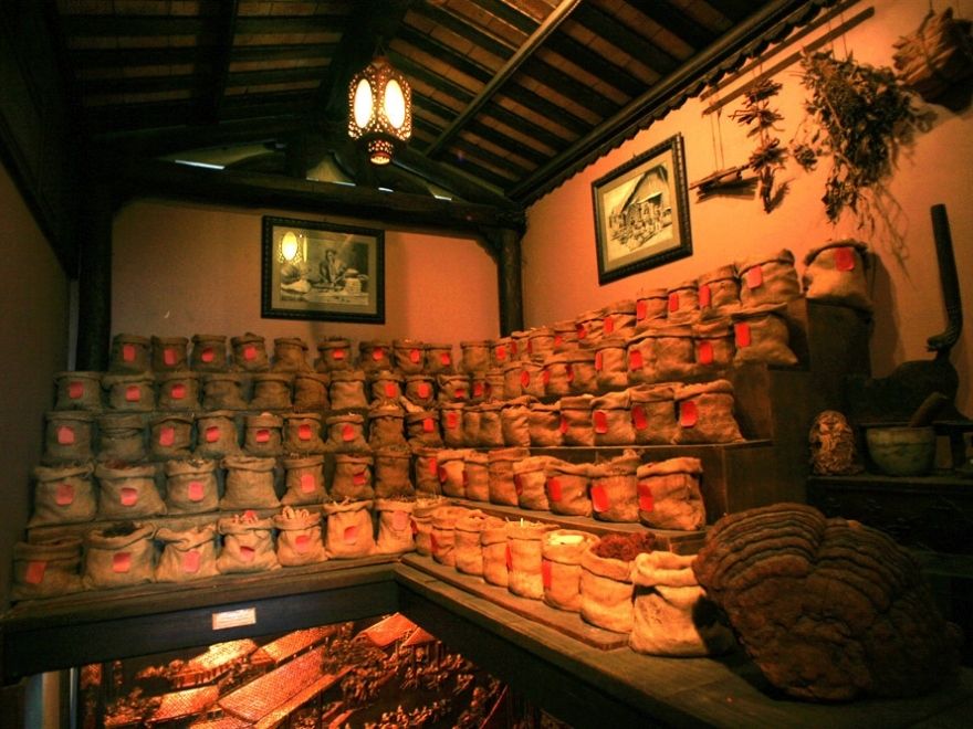 The traditional Vietnamese medicine shop model features multi-tiered shelves holding dozens of different medicinal herbs.