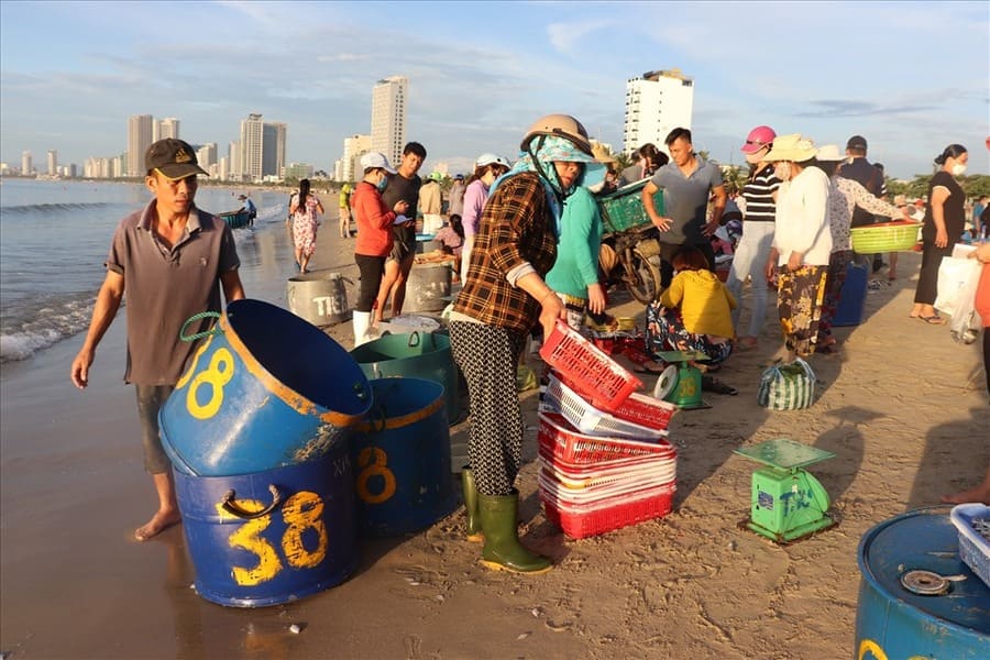 early fish market in Da Nang