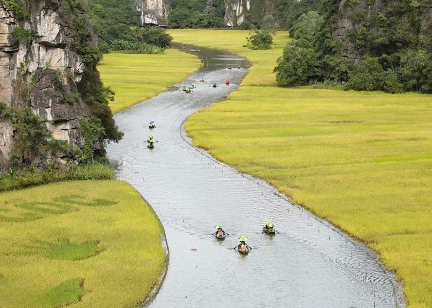 Tam Coc during the golden rice fields of May.
