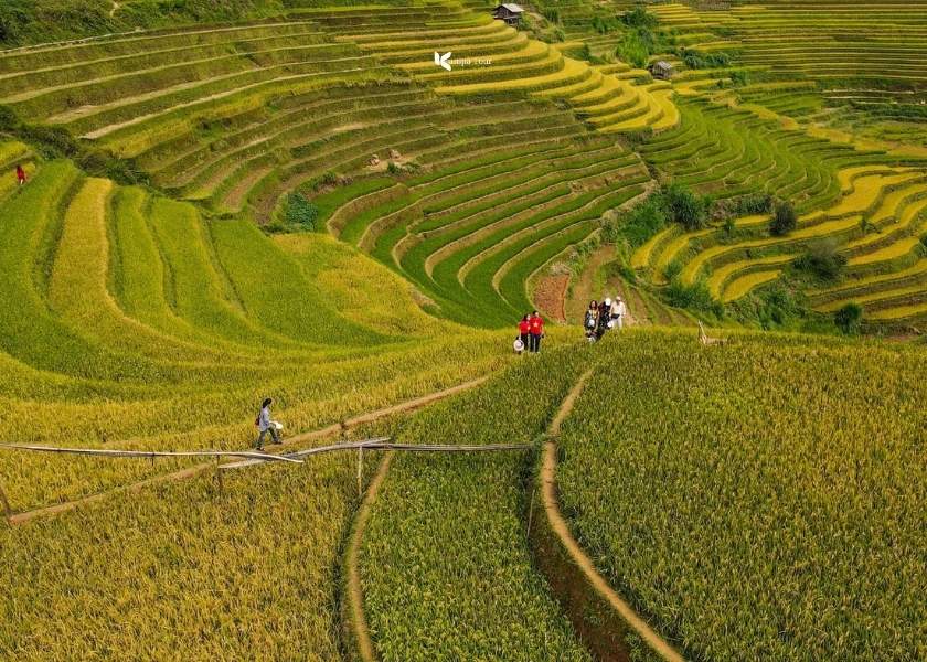Mu Cang Chai is the most beautiful destination in Northern Vietnam during the autumn season