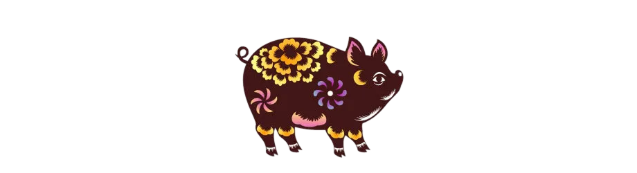 The Pig in the 12 Vietnamese Zodiac Signs