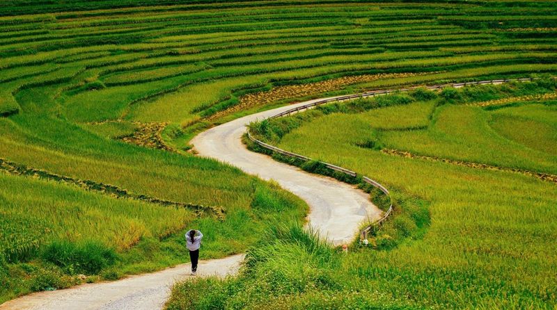 pu luong en vietnam en junio
