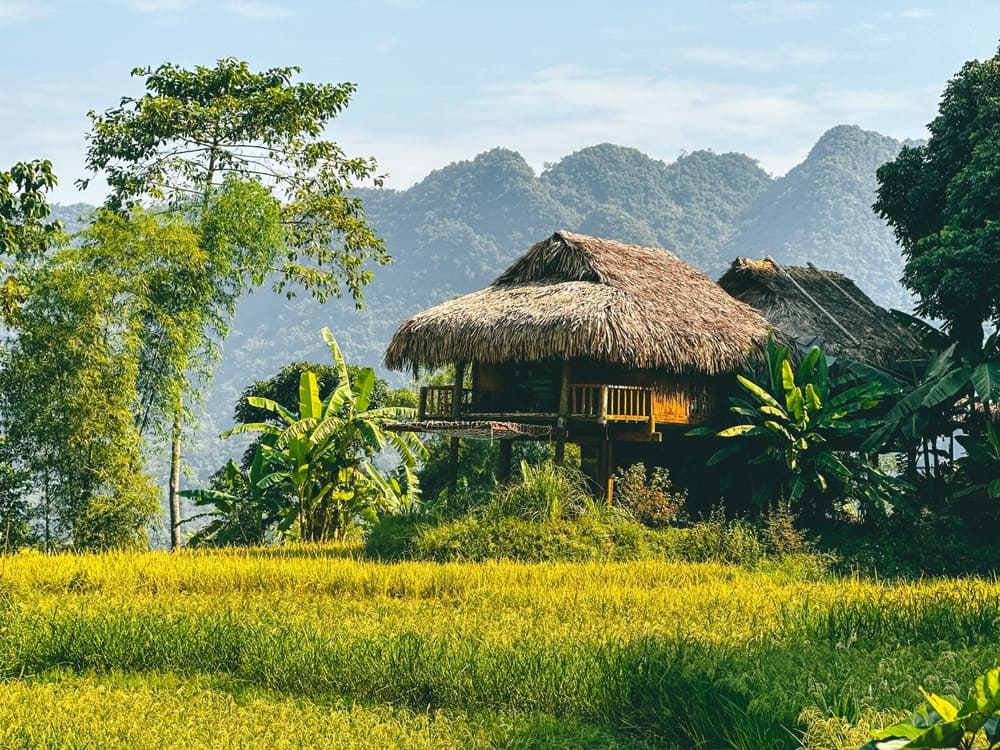 Pu Luong homestays