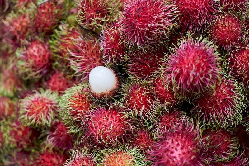 They should not eat rambutan peel because it is very poisonous