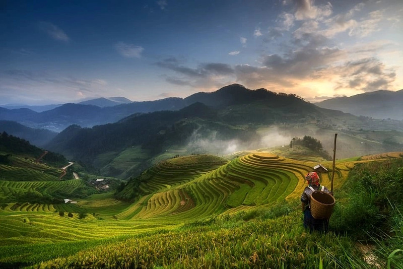 Mu Cang Chai's vast expanses of rice terraces