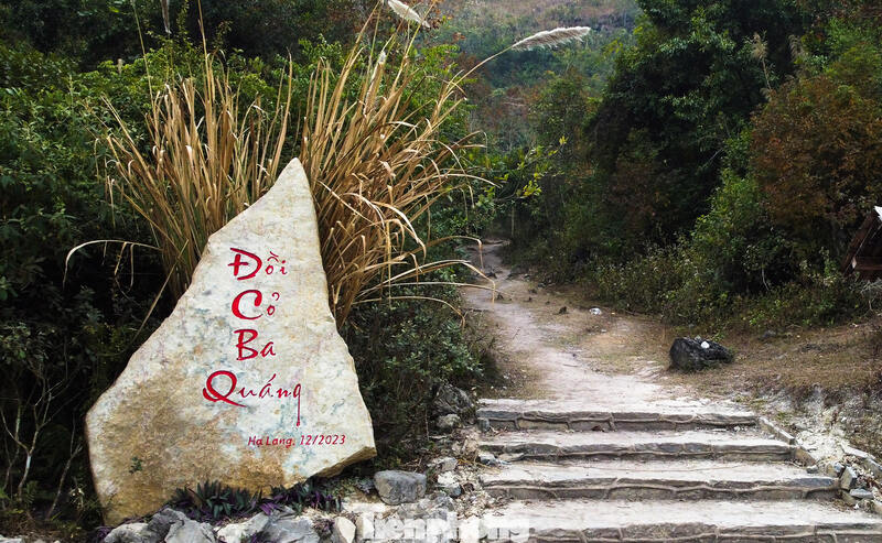 Trekking route up to Ba Quang burnt grass hill