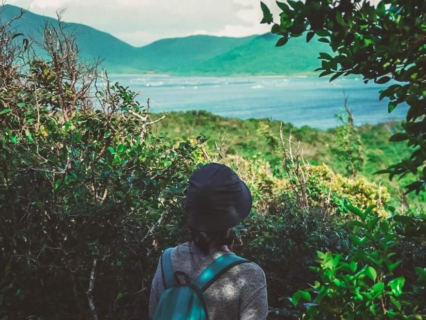 Small nature moments on Whale Island Vietnam