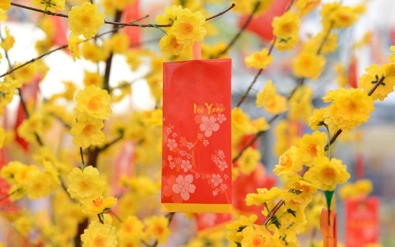 li xi - flores del tet