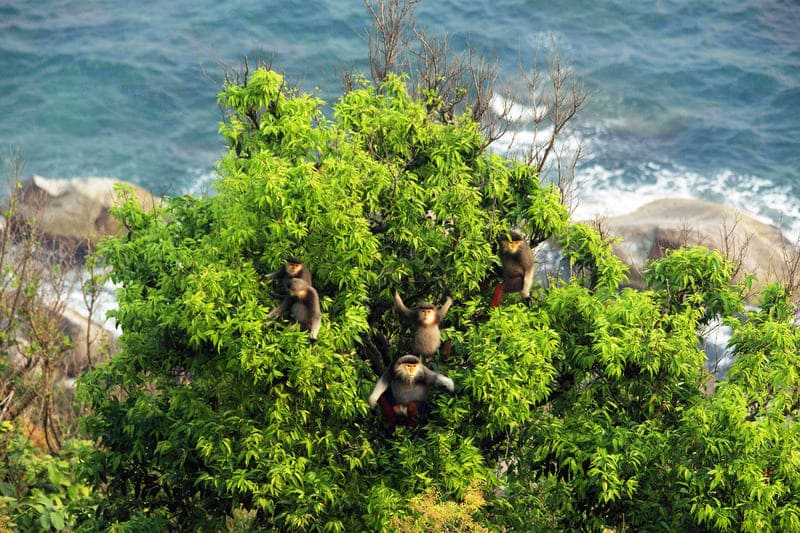 The optimal time to visit is from April to November.