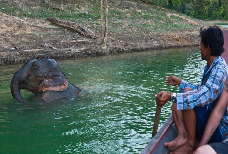 Elephant sanctuary in Khao Sok