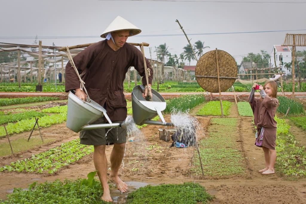 Tourists at Kampala Tour experience farming at Tra Que vegetable garden