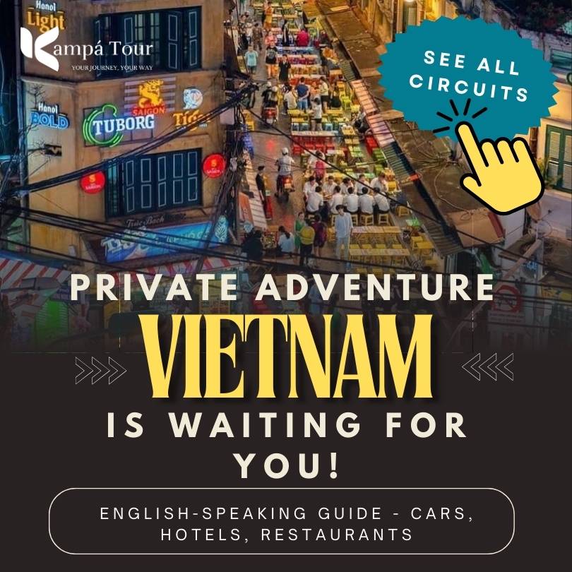 vietnam tours