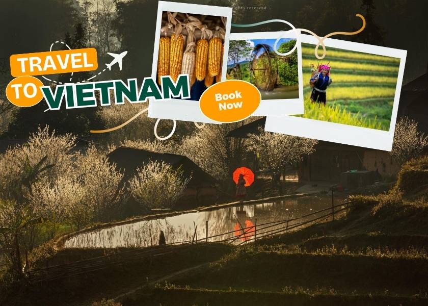 vietnam classic tours