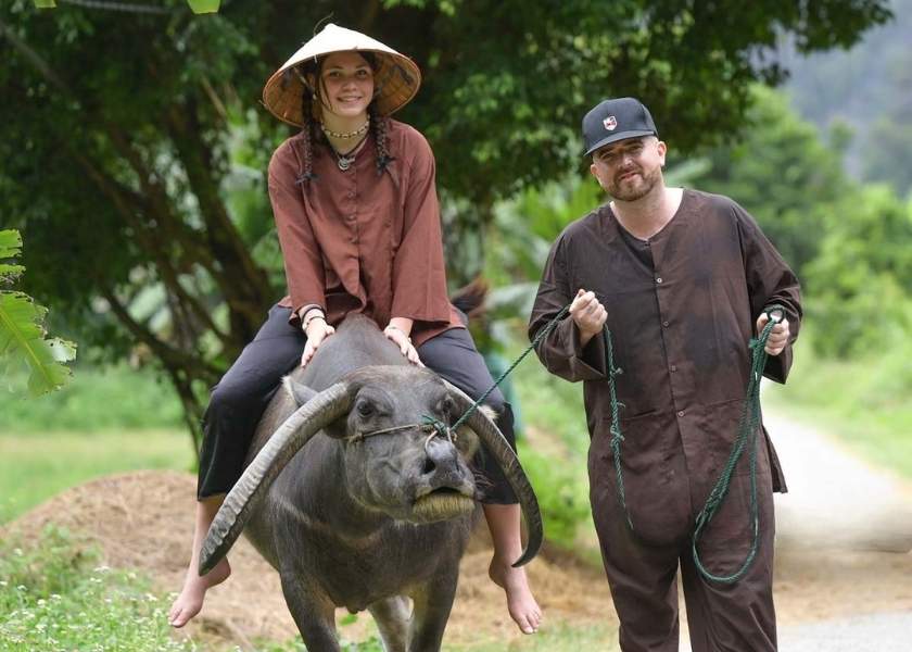 Western tourists wearing traditional Vietnamese farmer clothes and conical hats ride a water buffalo through a rice field in Ninh Binh, Vietnam.