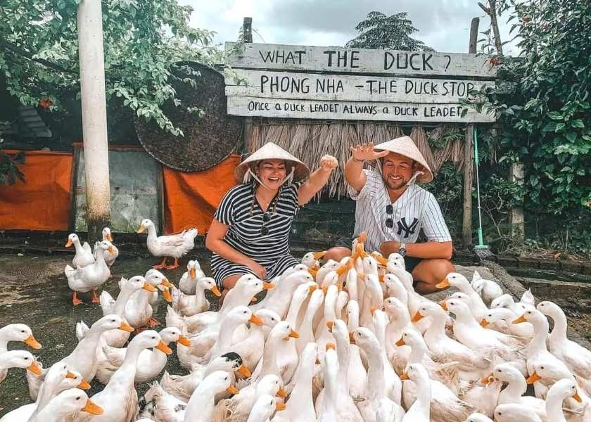 Two Western tourists in conical hats crouch while surrounded by white ducks at the Duck Stop in Phong Nha, Vietnam.