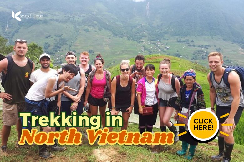 vietnam tours