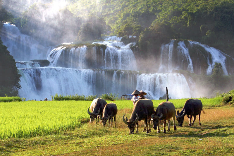 Cao Bang