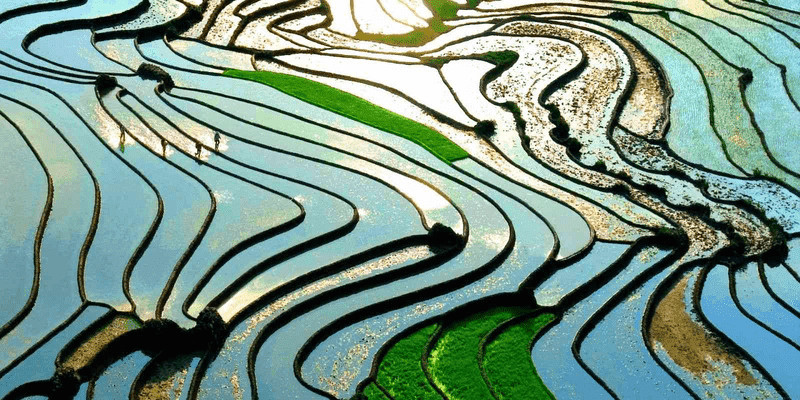 Terraced fields, north vietnam, water pouring season