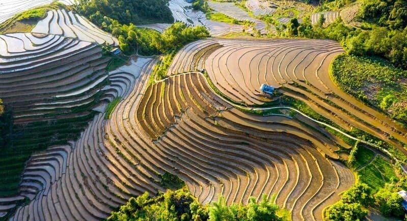Terraced fields, north vietnam, water pouring season