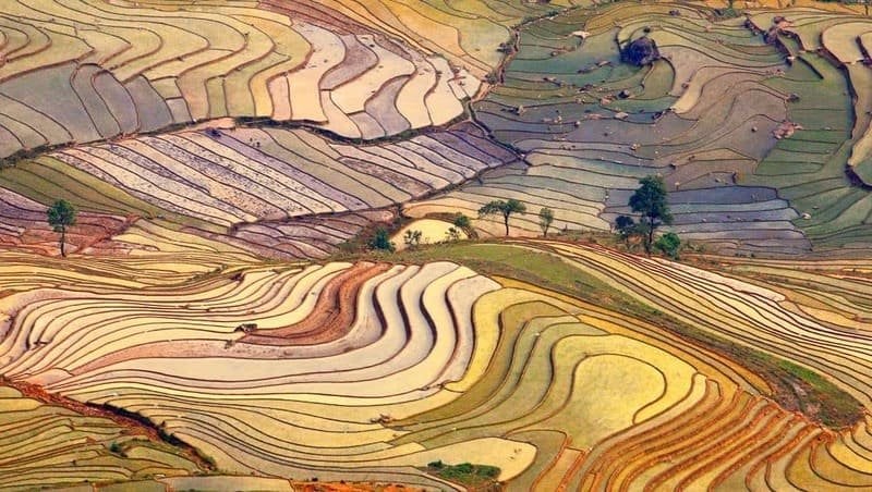 Terraced fields, north vietnam, water pouring season